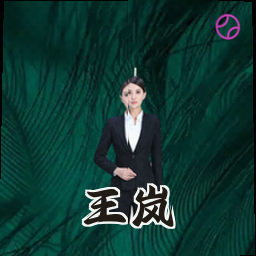 王岚